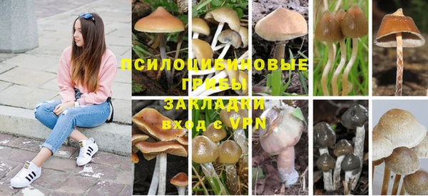 мдма Пролетарск