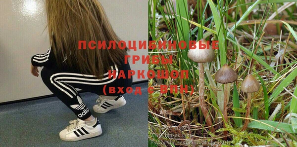 МДПВ Алексин