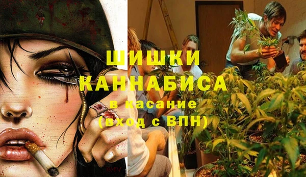 трава Протвино